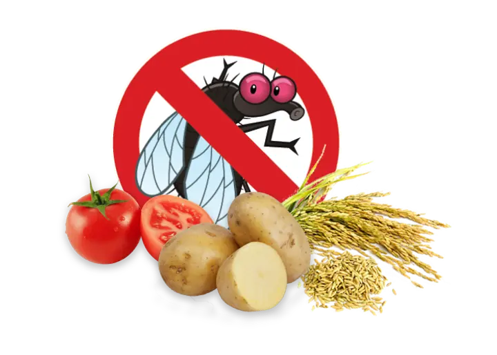 Carbofuran